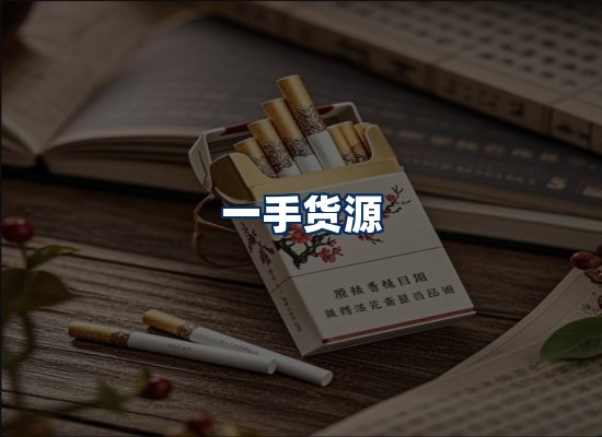专业团队办公环境